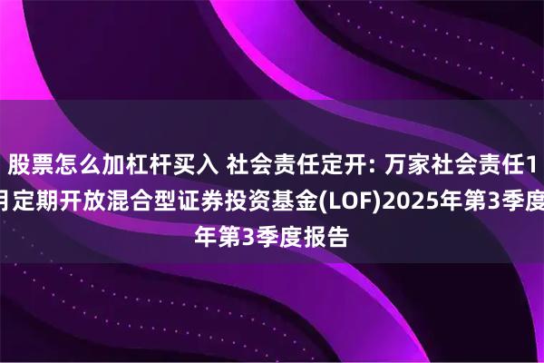 股票怎么加杠杆买入 社会责任定开: 万家社会责任18个月定期开放混合型证券投资基金(LOF)2025年第3季度报告