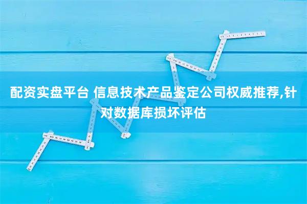 配资实盘平台 信息技术产品鉴定公司权威推荐,针对数据库损坏评估