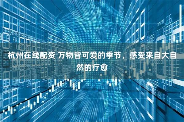 杭州在线配资 万物皆可爱的季节，感受来自大自然的疗愈