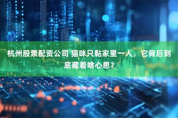 杭州股票配资公司 猫咪只黏家里一人，它背后到底藏着啥心思？
