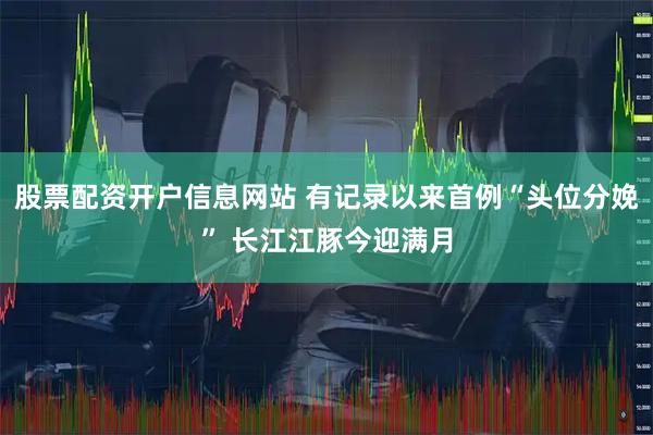 股票配资开户信息网站 有记录以来首例“头位分娩” 长江江豚今迎满月