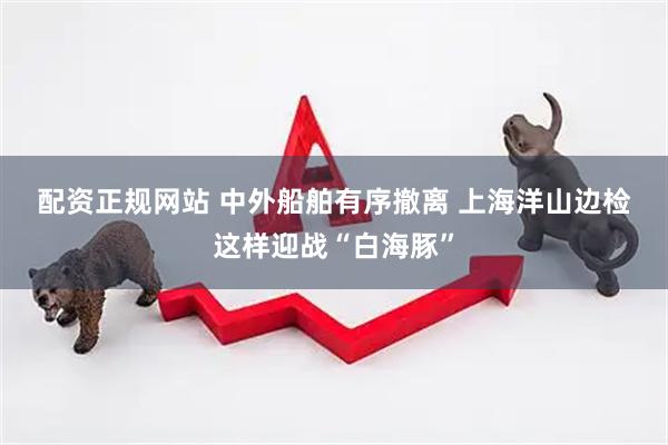 配资正规网站 中外船舶有序撤离 上海洋山边检这样迎战“白海豚”